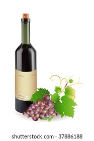 vine and bottle of wine, vector