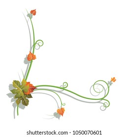 vine branch with colored leaves on a white background