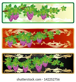 Vine with bunches of grapes. Collection of banners on a colored background.
