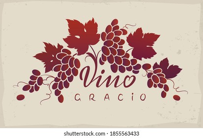 A vine with clusters of grapes. Template for the logo and label design.