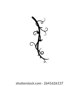 Vine Curling Down a Tree Branch in Natural Setting