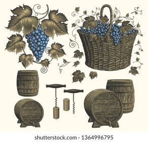 Vine. Design set. Hand drawn engraving. Editable vector vintage illustration. Isolated on light background. 8 EPS