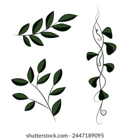The vine and foliage on the branches are dark green. Aesthetic image of foliage. Naturalistic plant icons.