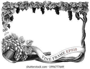 Vine frame hand draw vintage engraving style black and white clip art isolated on white background