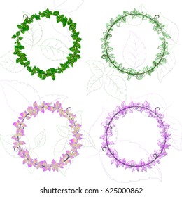 Vine frame for writing text. Set of various green plants.ring of green leaves,  Vector illustration.