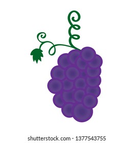 Vine grape branch, vector icon
