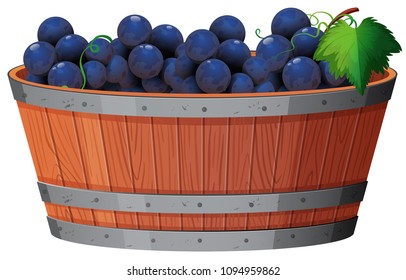 A Vine of Grape in Bucket illustration
