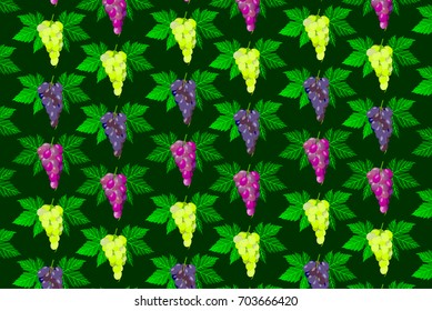 Vine grape on green background - vector pattern