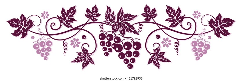 Vine with grapes and vine leaves in bordeaux.