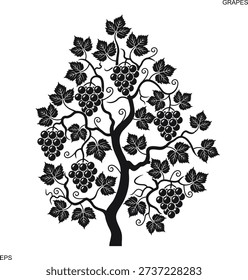 Vine. Grapes logo. Isolated grapes on white background