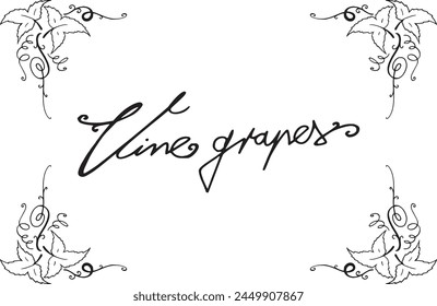 Vine grapes tittle letters in a frame hand drawn outline illustration. Simple vector text with retro grape fruits rustic engraved contour drawing decoration. Restaurant drink menu typography symbol.