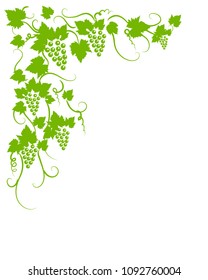 vine green grapes leaves branches background decoration