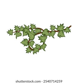 vine green ivy cartoon. leaves growth, lush wall, garden outdoor vine green ivy sign. isolated symbol vector illustration