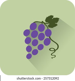 Vine icon. Flat design style modern vector illustration