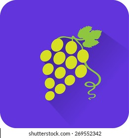 Vine icon. Flat design style modern vector illustration