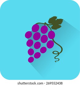 Vine icon. Flat design style modern vector illustration