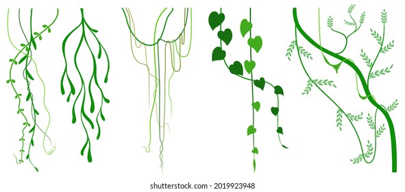 Vine jungle branches hanging. Climber sets isolated on white background. Vector illustration