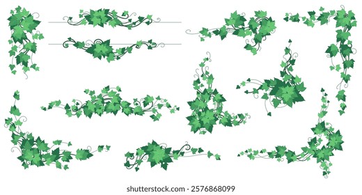 Vine jungle plant. Liana vegetation, tree creeper, twig climber ivy. Forest green garden. Nature leaf in park. Border foliage. Botanical decorative isolated frame. Wedding decor. Vector illustration