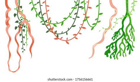 Vine Jungle Vector Hangs Creeper Plant Branch