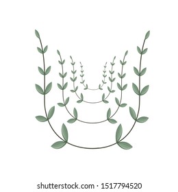 vine leaf decorations vector illustration