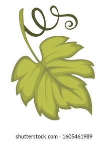 Vine leaf, grape plant foliage isolated icon