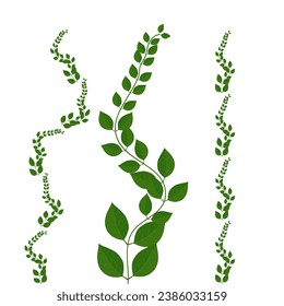 ilustración vectorial de la hoja de vid. sobre fondo blanco. hoja decorativa.