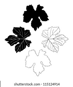 Vine Leaves drawn