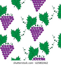 Vine with leaves and grapes seamless pattern on the white background. Vector background.