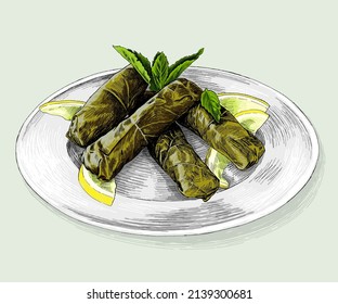 Vine leaves stuffed with sliced lemons and mint in a white plate vector illustration.