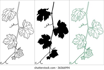 Vine leaves in three colors