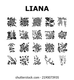 Vine Liana Exotic Growing Plant Icons Set Vector. Japanese Honeysuckle And Poison Ivy, Caroline Jessamine And Wisteria Liana, Tropical Cypress And Bougainvillea Glyph Pictograms Black Illustrations
