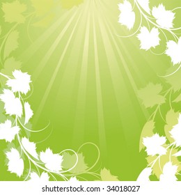 Vine on a green background Clipping Mask