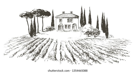 Vine plantation hills landscape. Drawing of rows of vineyards with wine stains.  Vector line sketch illustration