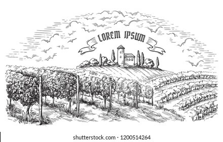 vine plantation hills, trees, clouds, and ancient castle on the horizon vector illustration