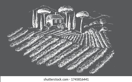Vine plantation landscape  Hand drawn vector illustration 