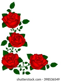 vine of red roses