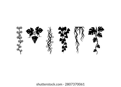 Vine Silhouette Vector Collection Set
