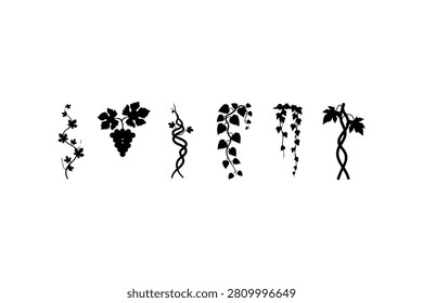 Vine Silhouette Vector Icon Collection Set