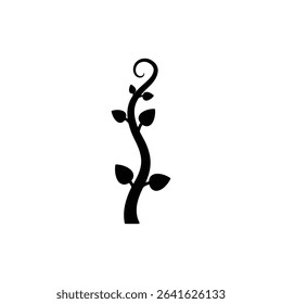 Vine Spiraling Upward on Tree Trunk in Forest