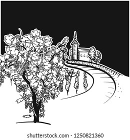 Vine tree and vineyard drawing detail, hand-drawn vector food illustration for vine label and social media marketing