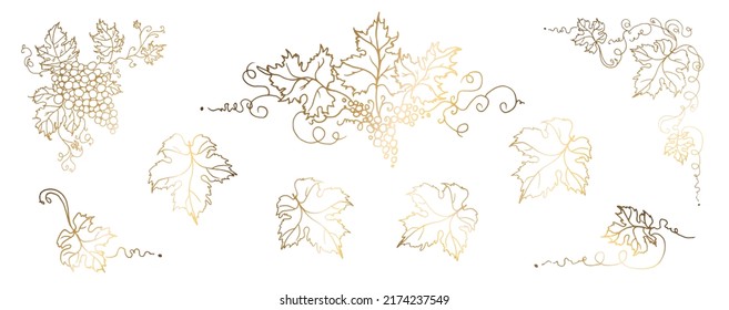 Vine. Vector illustration. Design elements with a twisting golden vine with leaves and grapes. Drawing by hand in the style of line art. The frame is round with a vine.