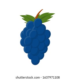 a vine vector with leaves and stems. very simple and suitable to use as a symbol.