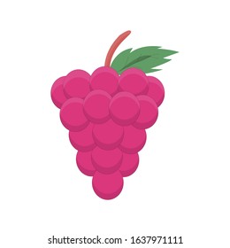 a vine vector with leaves and stems. very simple and suitable to use as a symbol and icon