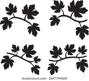 vine, vineyard, fruitleaf, nature, flora, foliage, botany,