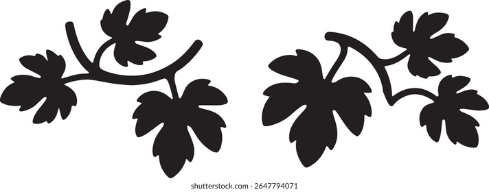 vinha, vinha, folha de fruto, natureza, flora, folhagem, botânica,