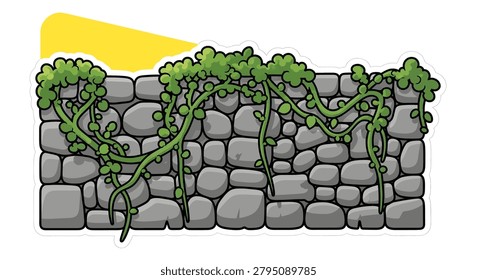 Vines growing on a stone wall