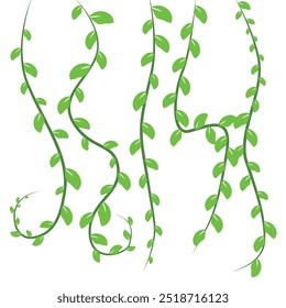 vines leaves graphic illustrations vector