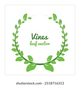 vines leaves graphic illustrations vector