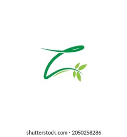 Vines template design, shrubs forming letter Z illustration