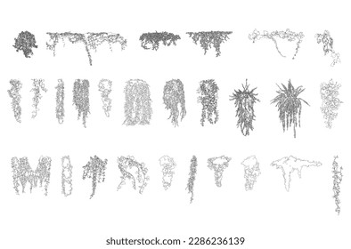 viñedos planos de plantas tropicales, vista lateral, conjunto de elementos gráficos símbolo de contorno para la arquitectura y el diseño de paisajes. Ilustración del vector en trazo